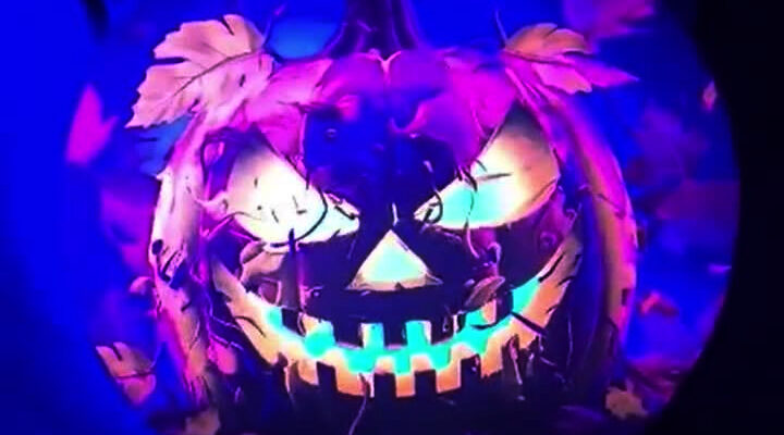 Blacklight Halloween pumpkin